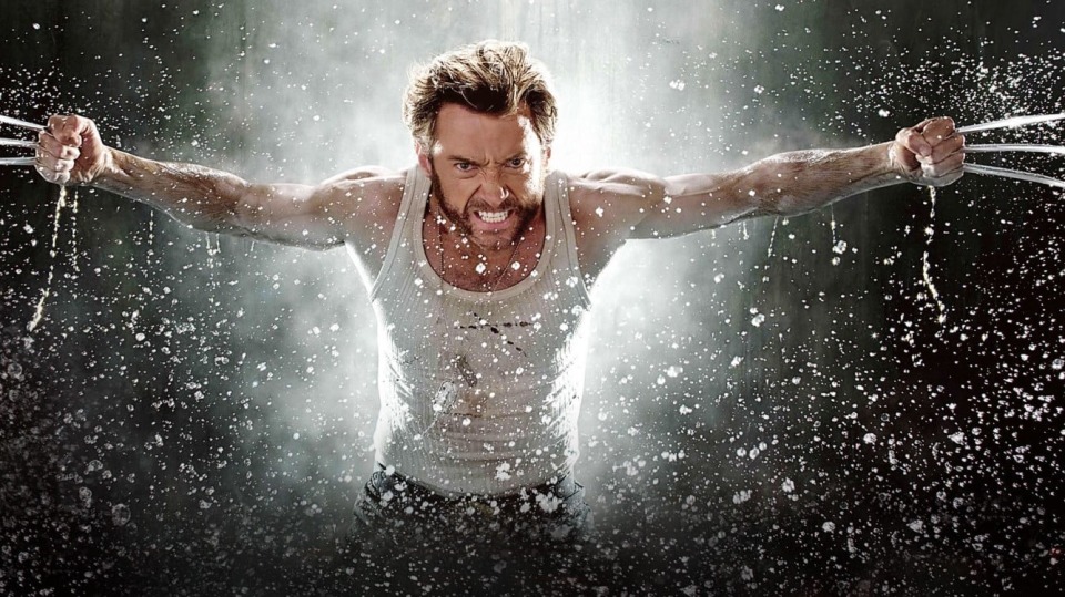 Wolverine